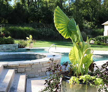 How to Reduce Robotic Pool Cleaner Failures with Simple Daily Maintenance